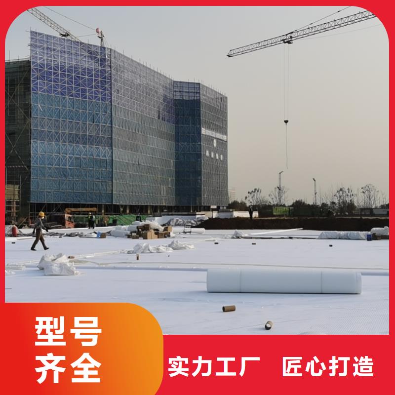 防護(hù)虹吸排水收集系統(tǒng)型號全-工廠店