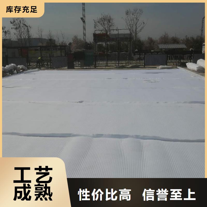 高分子防護排水異形片直銷價格