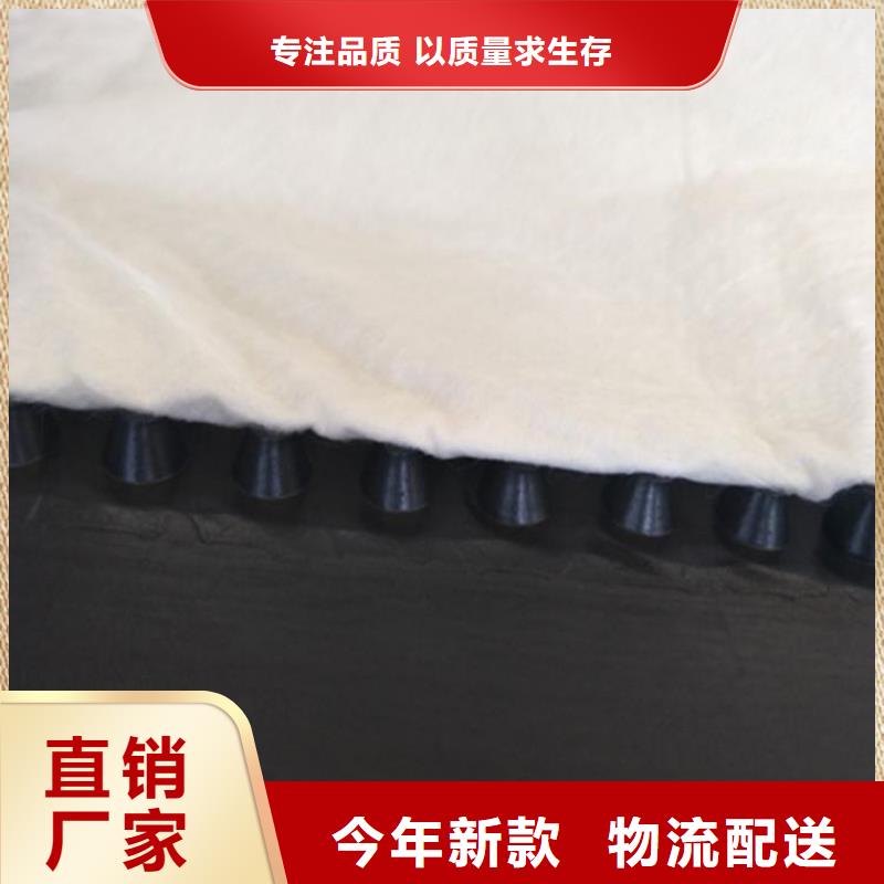虹吸排水排水板工廠價格