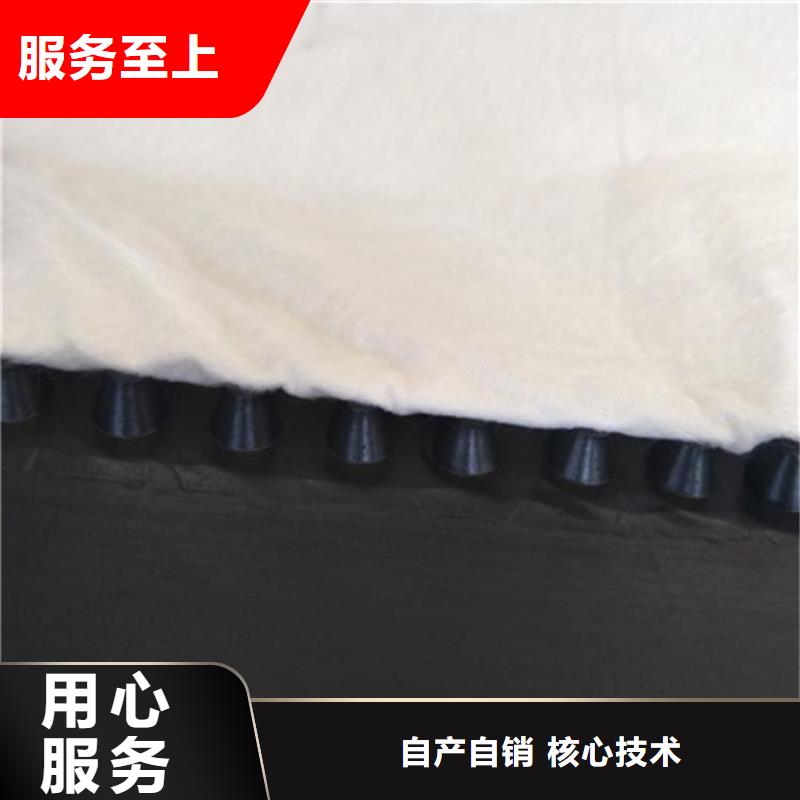 虹吸排水_防護(hù)虹吸排水收集系統(tǒng)規(guī)格齊全