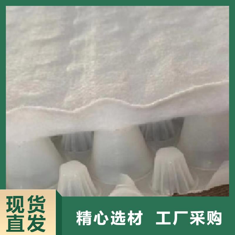 虹吸排水-植草格直銷廠家