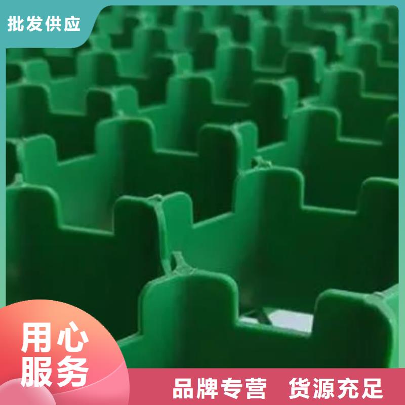 植草格本地貨源