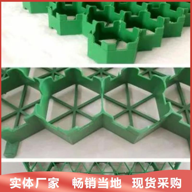 植草格批發(fā)-行情價(jià)