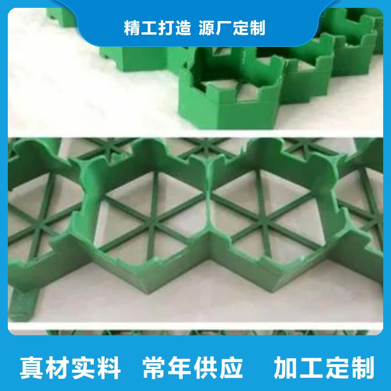 塑料植草格2025新行情價