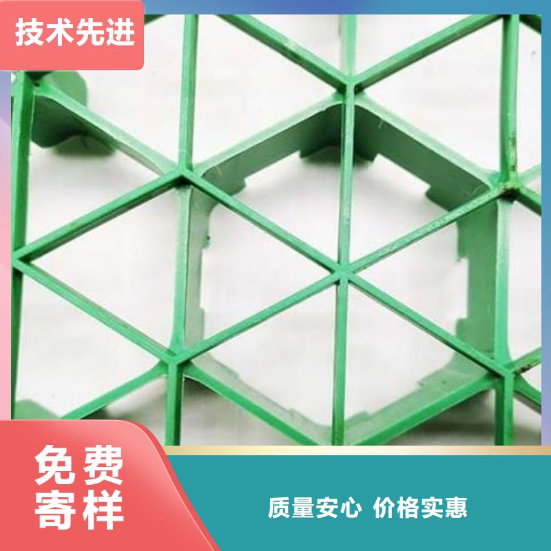 植草格型號全都有