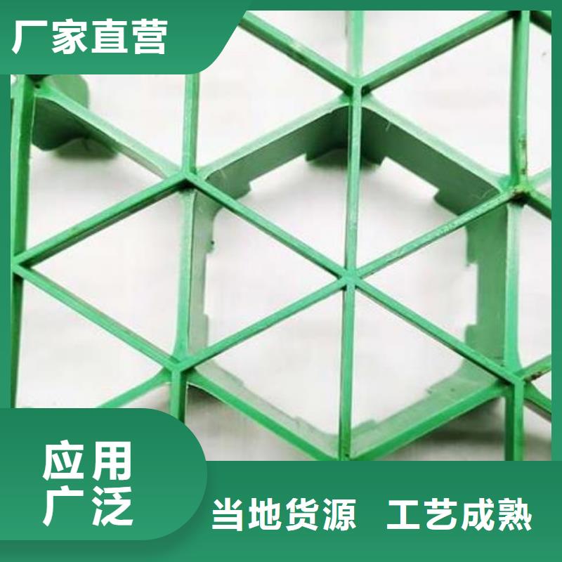 植草格廠家供應