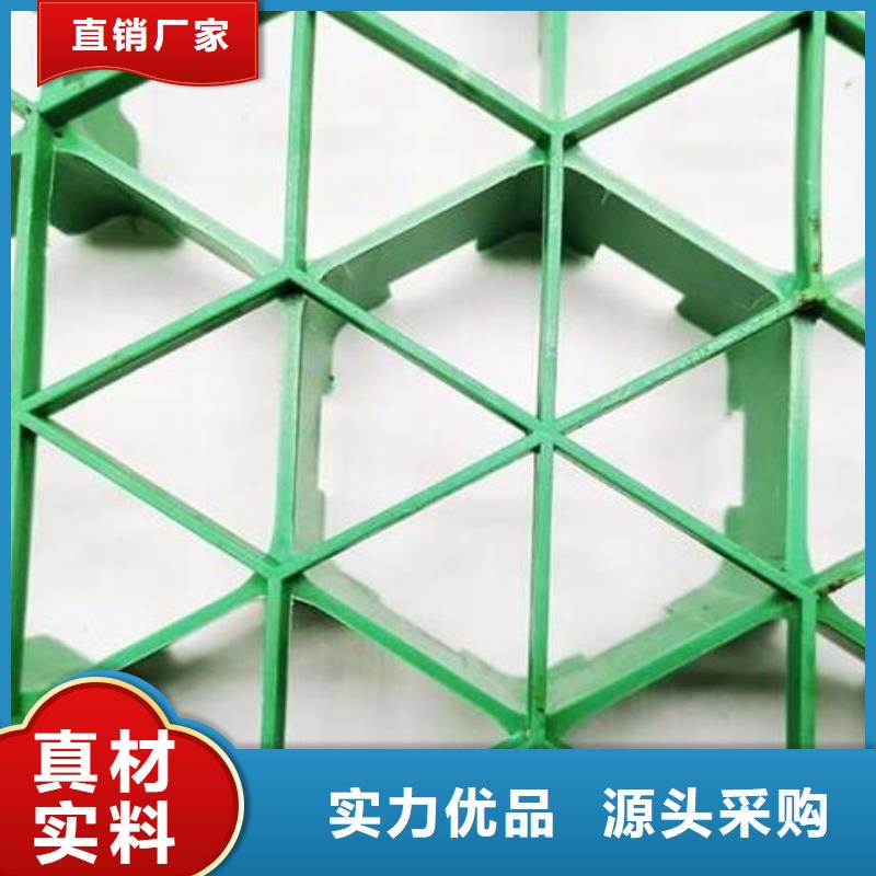 平口植草格朋聯工程-廠家直銷