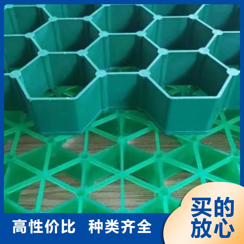 植草格水泥化粪池工厂直营