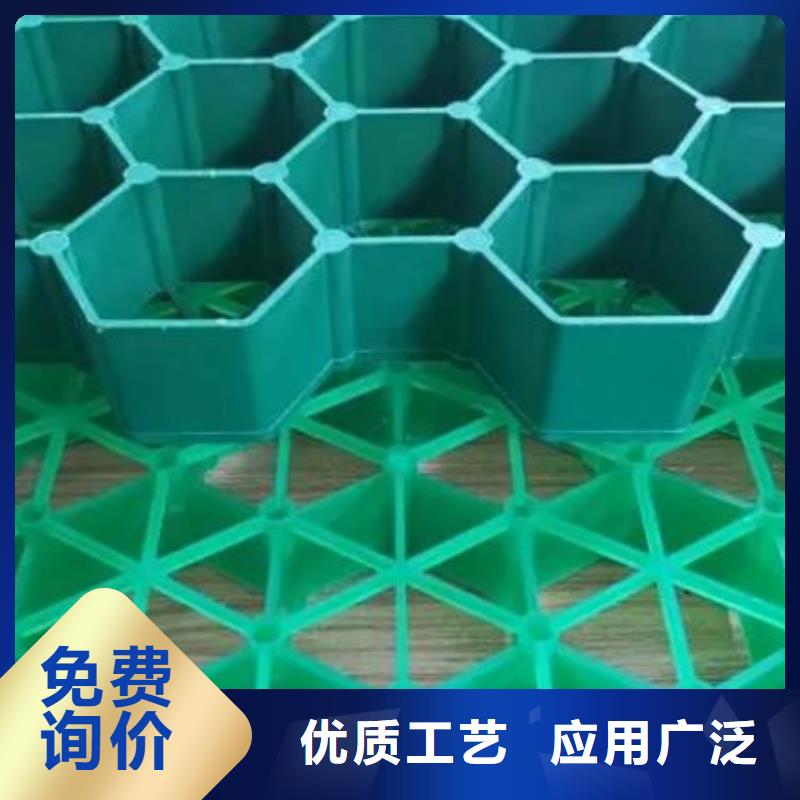 植草格,植草格厂家新品