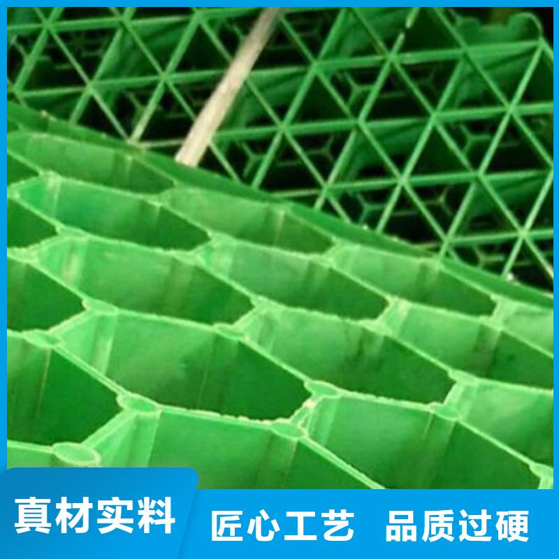 植草格廠家價格多少