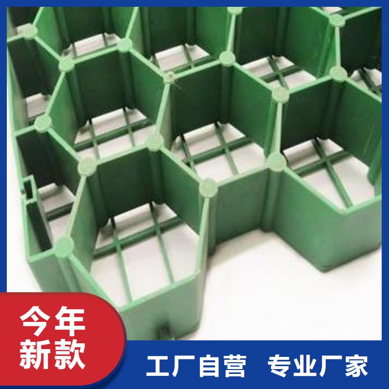 【植草格】水泥化糞池誠信商家服務熱情