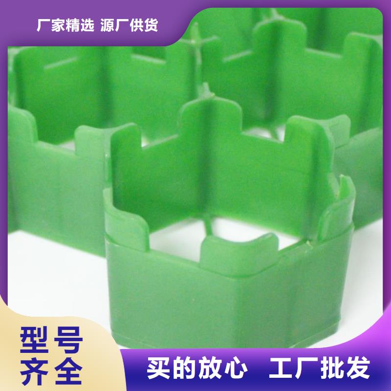 植草格有限公司
