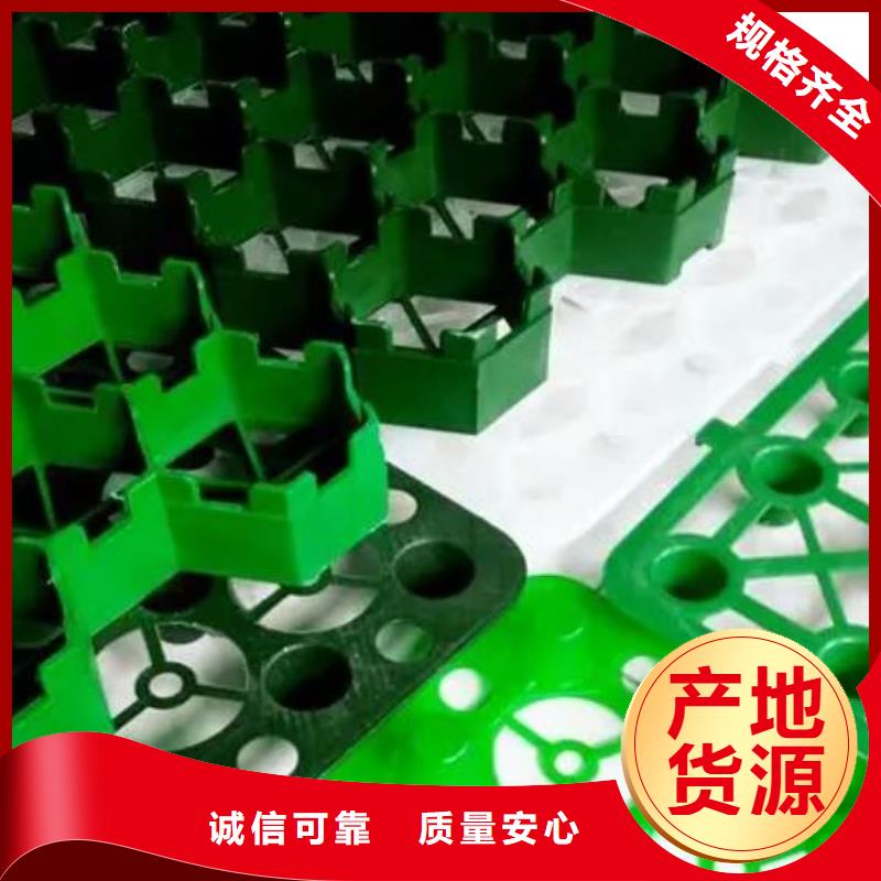 植草格,排水板誠信可靠
