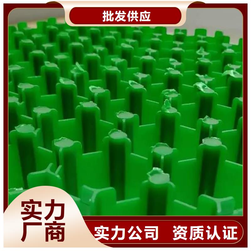 植草格批發(fā)-行情價(jià)