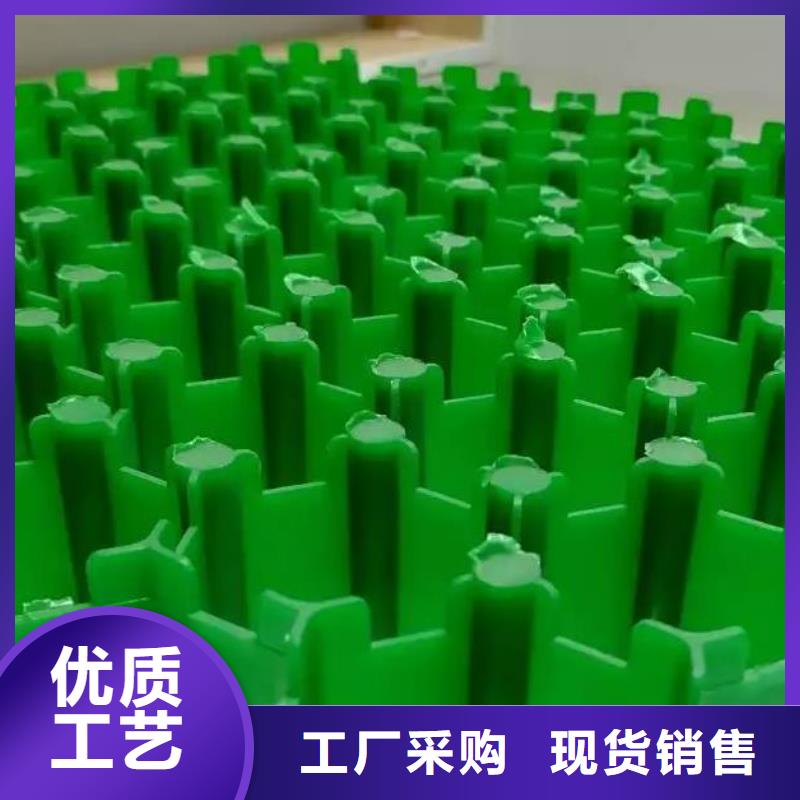 植草格,植草格厂家新品