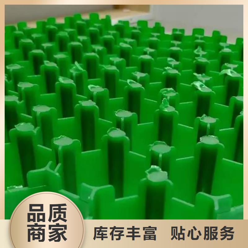 植草格植草格優(yōu)選貨源