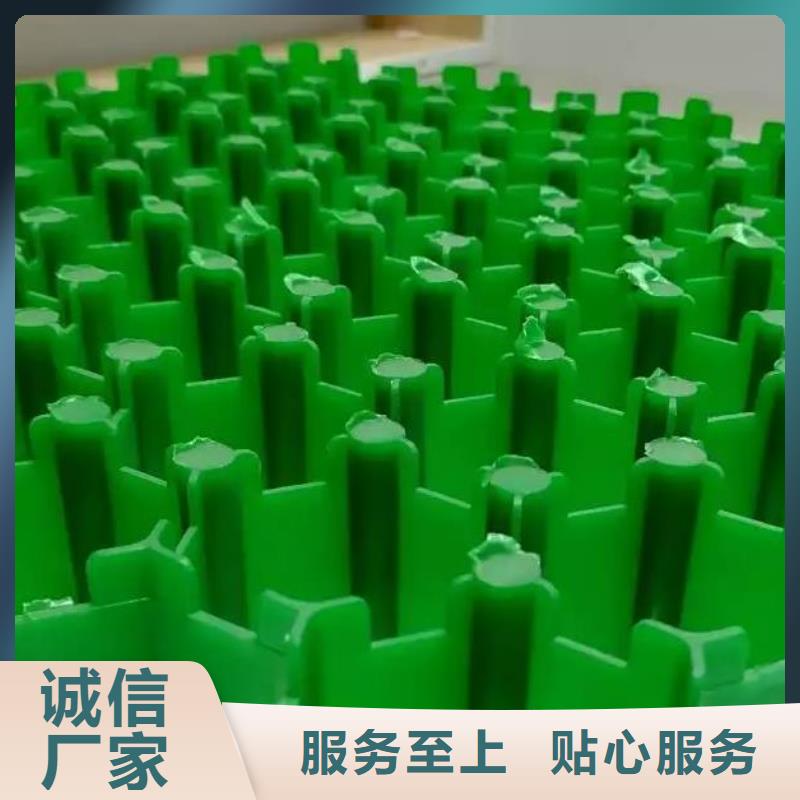 植草格-防護虹吸排水收集系統每個細節都嚴格把關