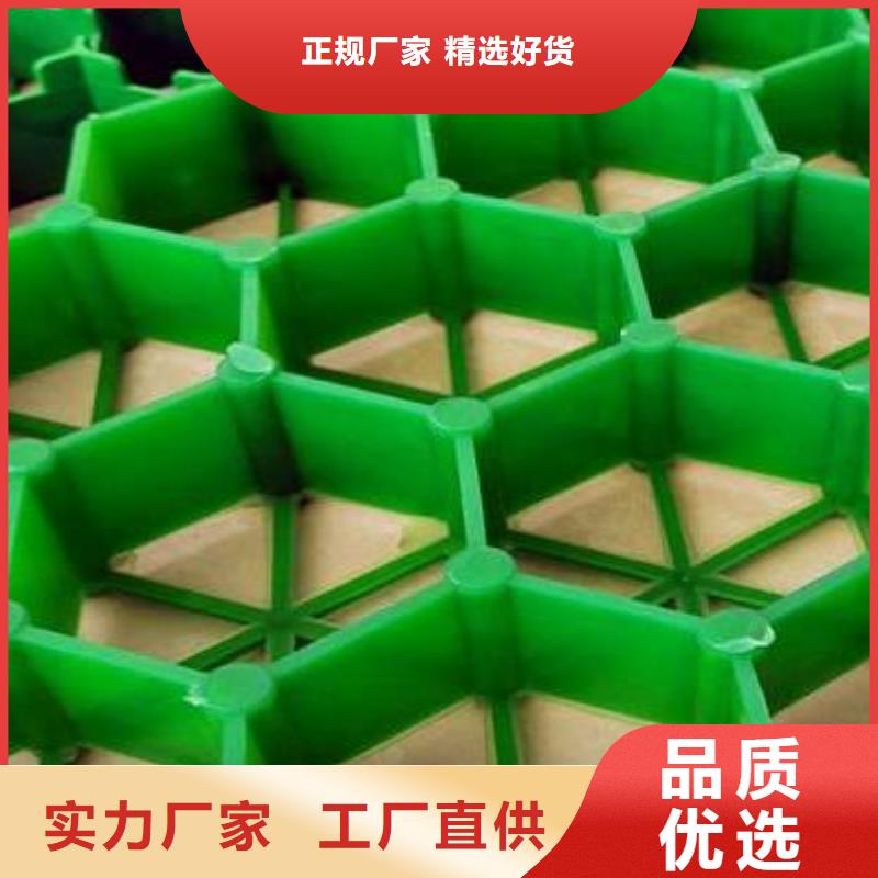 植草格有限公司