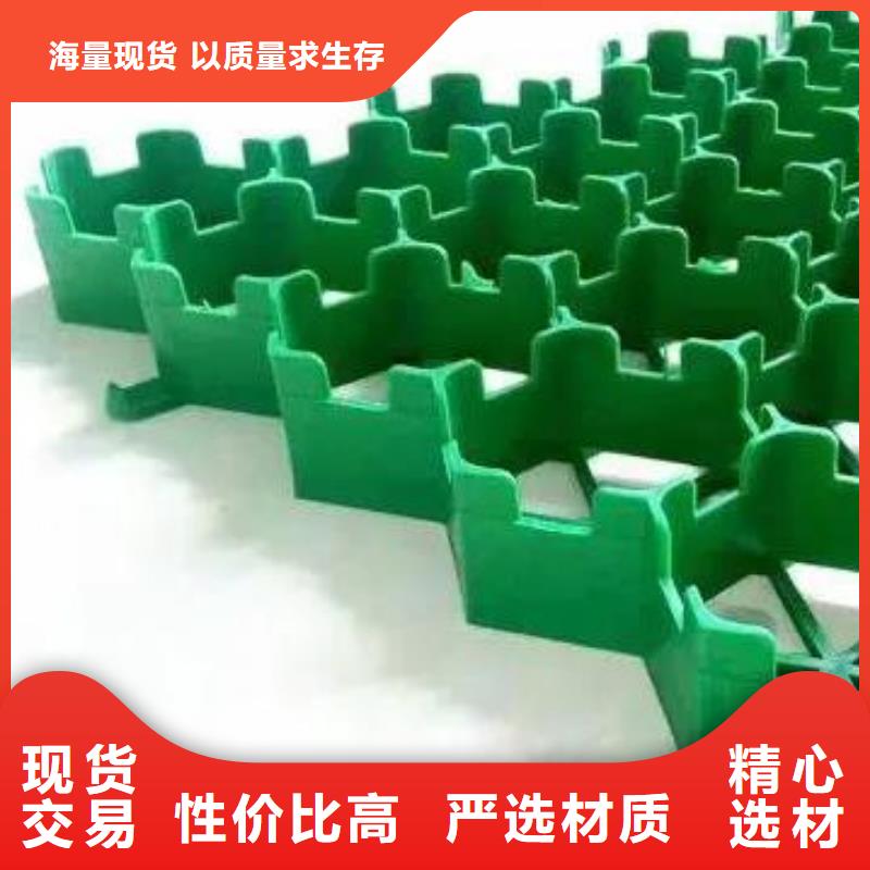 塑料植草格廠家供應