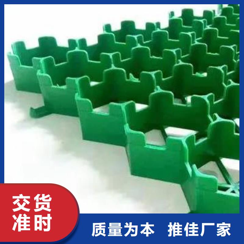 植草格本地貨源