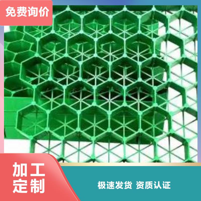 植草格植草格優(yōu)選貨源