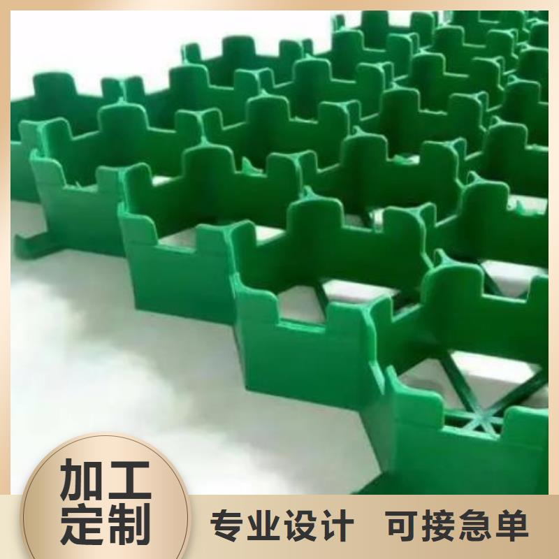 植草格_防護虹吸排水收集系統嚴格把關質量放心