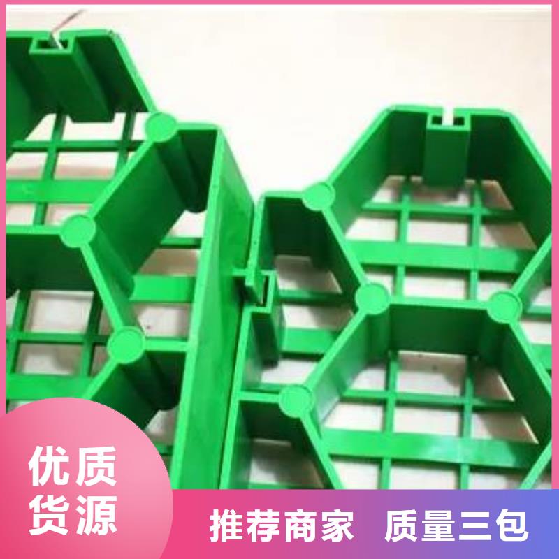 植草格型號全都有