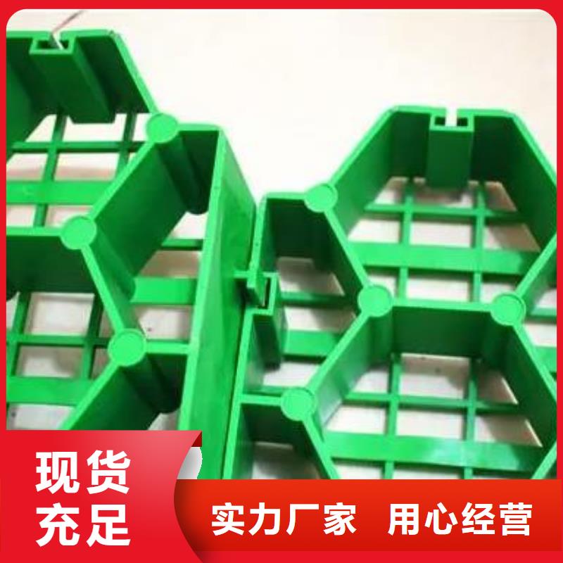 塑料植草格-植草格廠家