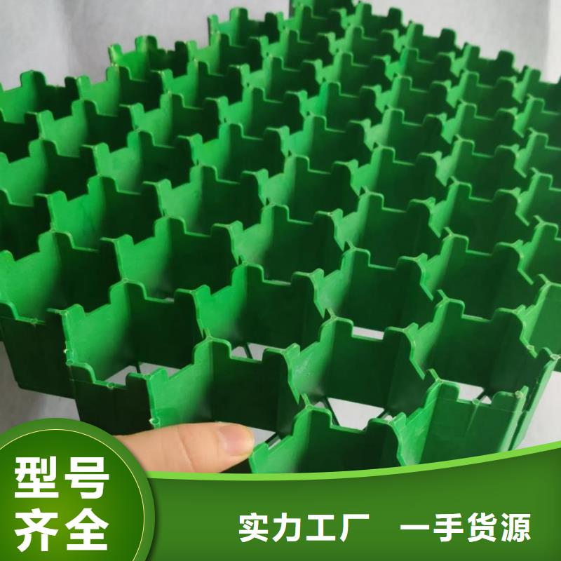 植草格工廠直營-歡迎咨詢