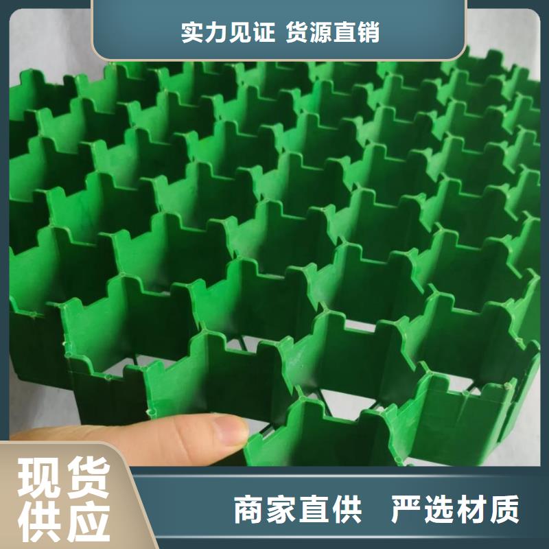 【植草格】水泥化糞池誠信商家服務熱情