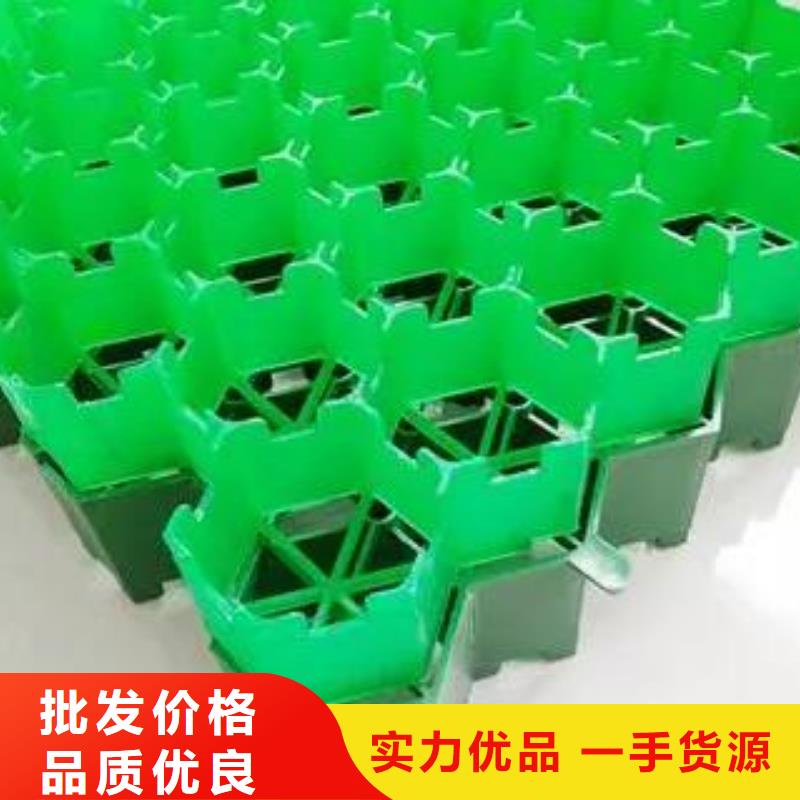 植草格工廠直營-歡迎咨詢