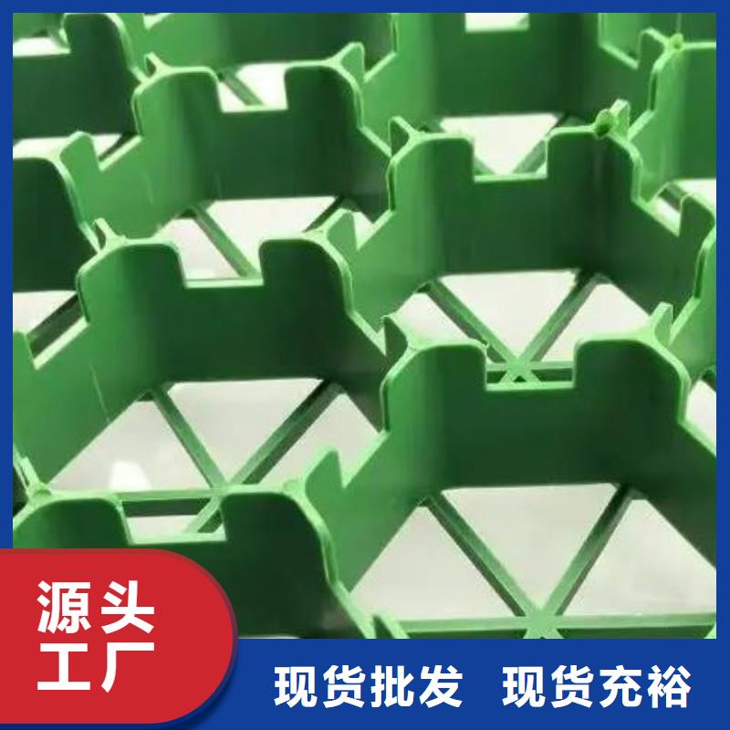 塑料植草格實體廠家