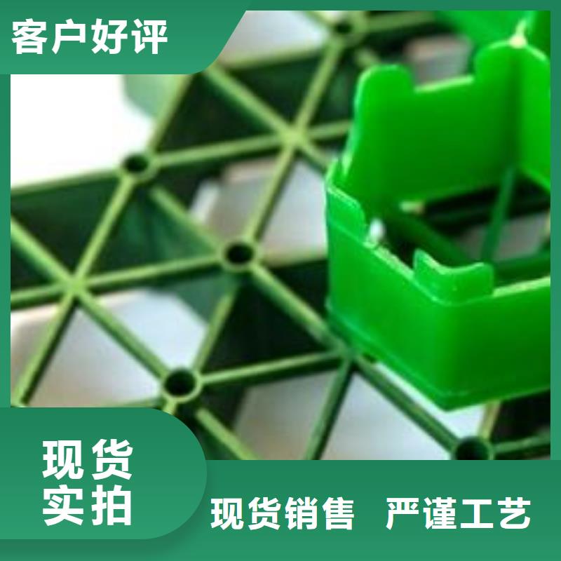 植草格排水板精心打造