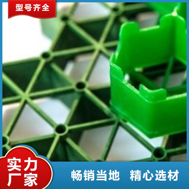 塑料植草格-停車場植草格廠家店