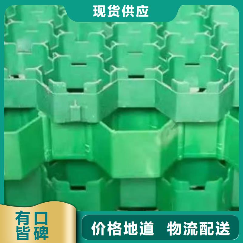 塑料植草格實體廠家