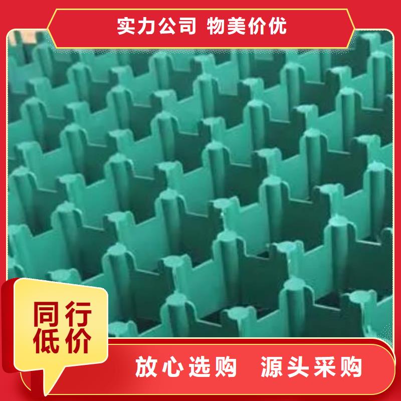 塑料植草格-本地工廠