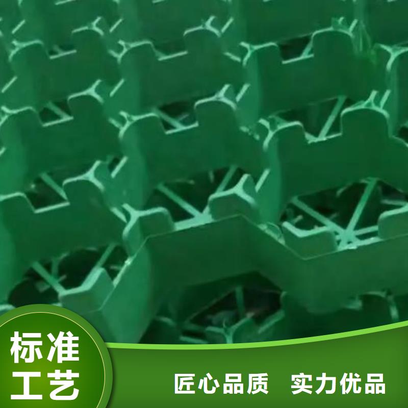 植草格,排水板誠信可靠