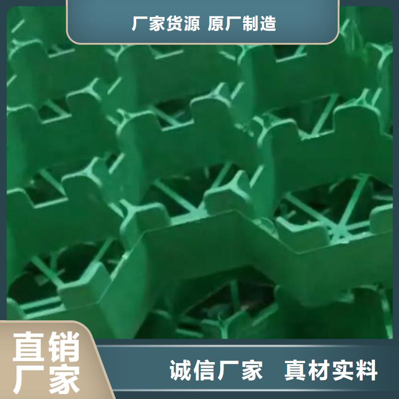 植草格植草格質量好