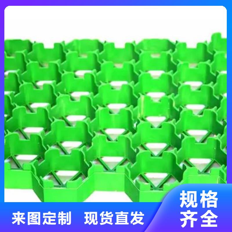 植草格,植草格厂家新品