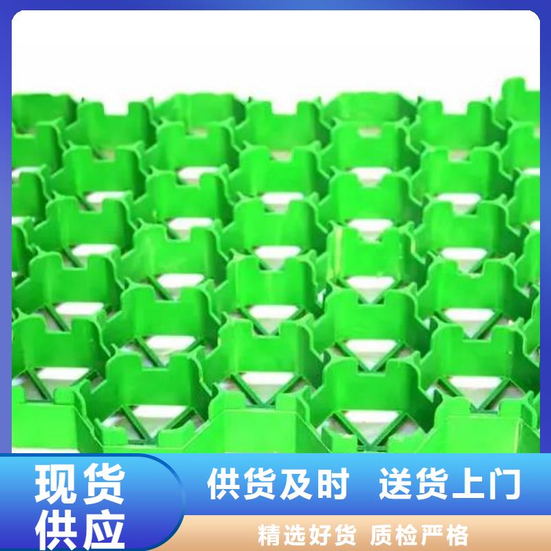 【植草格】_水泥化糞池源頭廠商