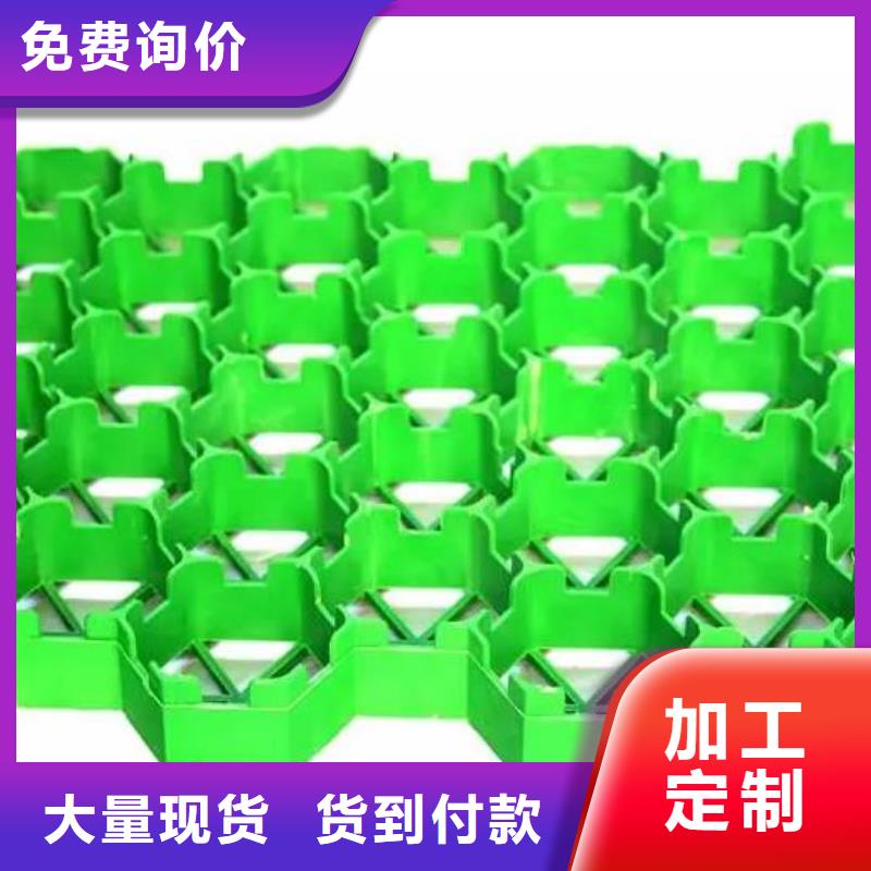 塑料植草格2025新行情價