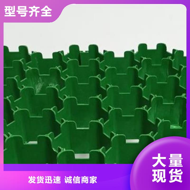 植草格本地廠家