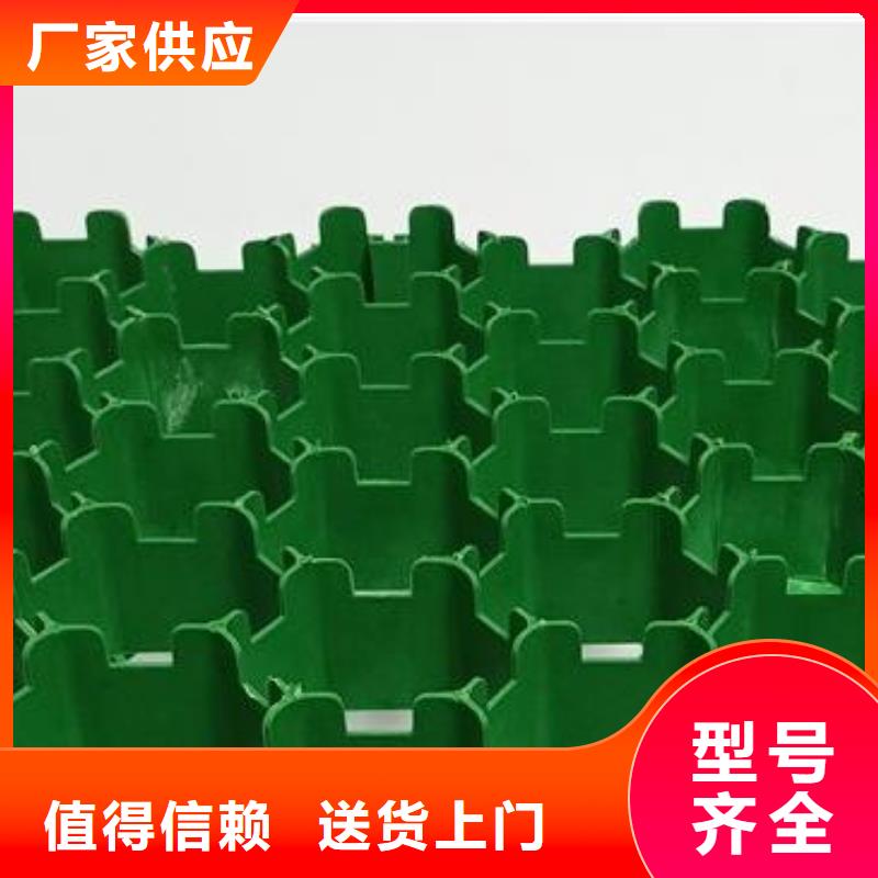 植草格植草格用心做好每一件產(chǎn)品