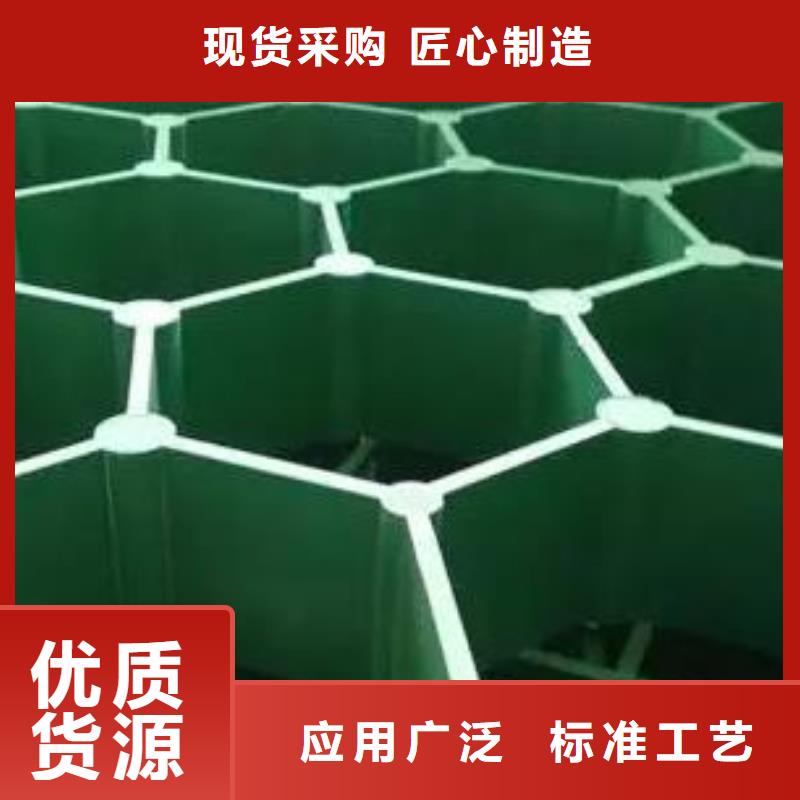 塑料植草格2025新行情價