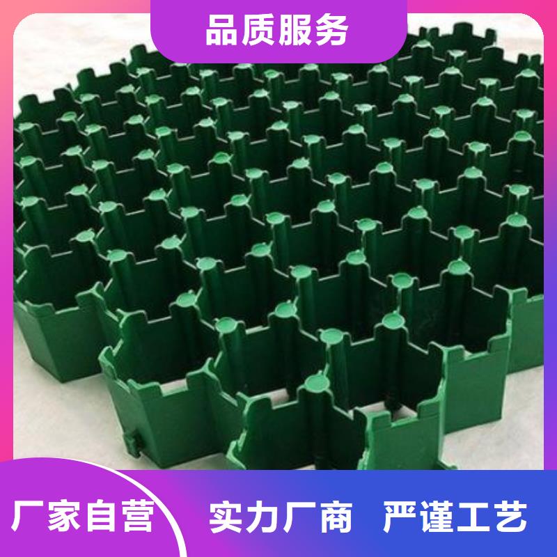 植草格工廠直營-歡迎咨詢