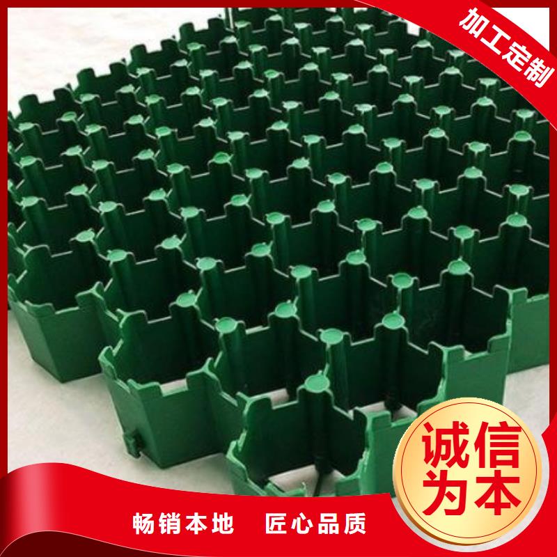 塑料植草格定制咨詢-