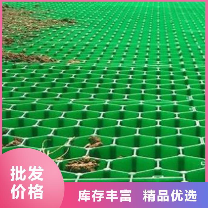 植草格廠家代理商