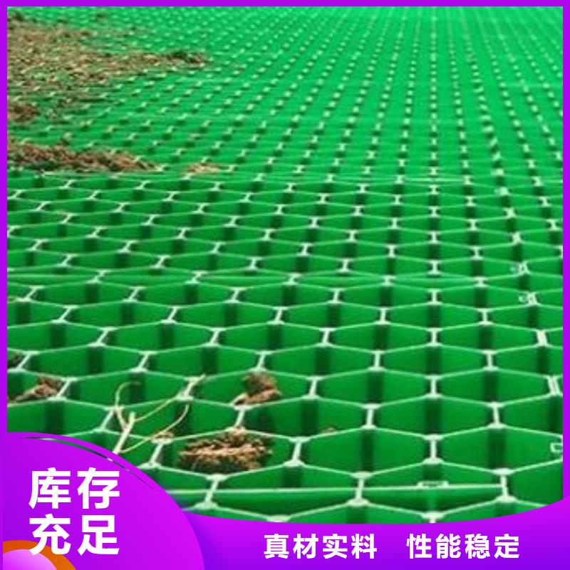 植草格水泥化粪池产地直供