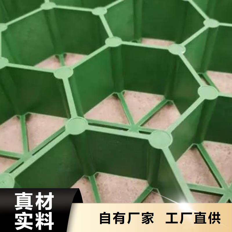 平口植草格行情價@已更新2025