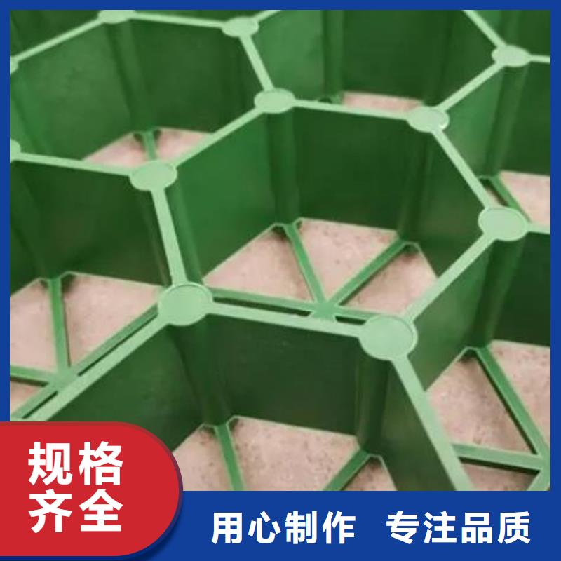 植草格水泥化粪池产地直供